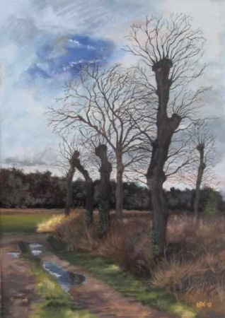 Galerie