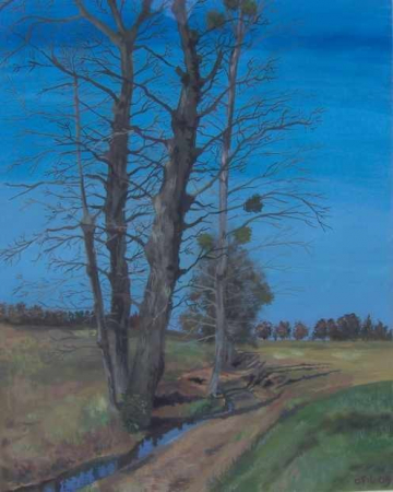Galerie