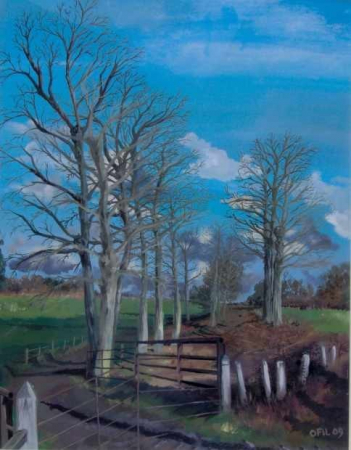 Galerie