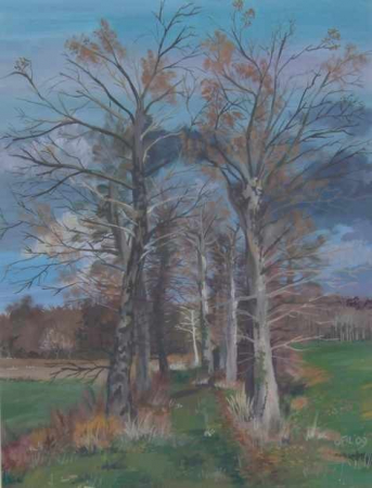 Galerie