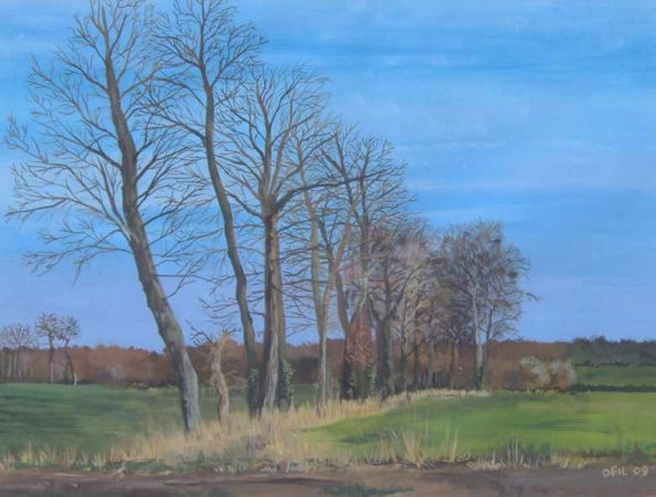 Galerie